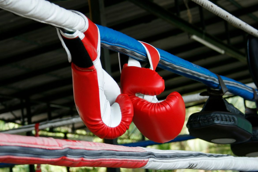 gloves hanging muay thai gym dtv visa